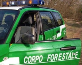 corpo forestale